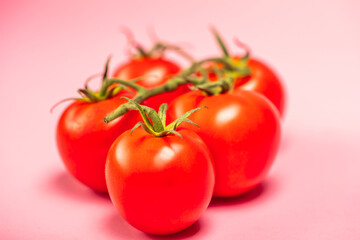 red tomatoes with a green stalk, on a pink background, concept,