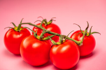 red tomatoes with a green stalk, on a pink background, concept,