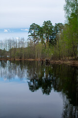 Fototapeta na wymiar beautiful forester lakeside in summer