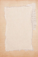 Torn old beige paper background vector