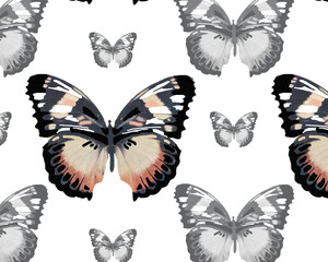 Obraz premium Colorful and grey butterflies isolated on white background seamless patternfor all prints.