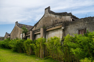 old houses surrounded by green plants