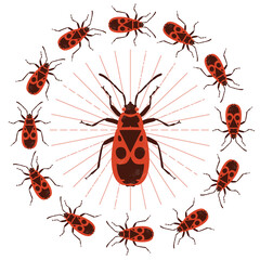 Firebug. Vector illustration. Isolated on a white