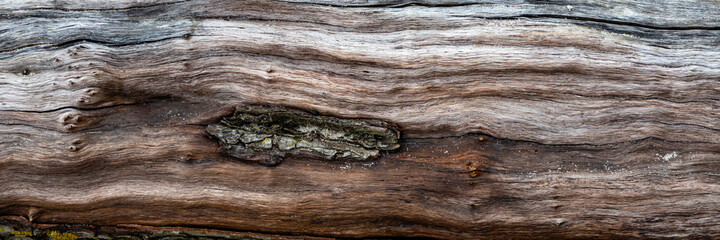 Texture of weathered wooden surface
