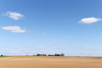 Fototapeta na wymiar Wheat fields and farm in Seine et Marne country.