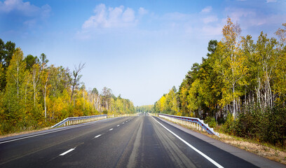 Autumn road, trees, autumn, long road