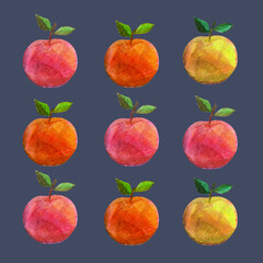 Set of hand drawn cute apples.  Fruit illustration. colored pencils.