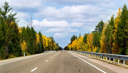 Autumn road, trees, autumn, long road