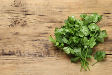 Fresh green cilantro on wooden table, flat lay. Space for text