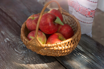 Still life with berries, apples and honey, a holiday at the end of summer, harvesting.