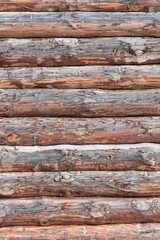 House wall in the village. Russian masonry of logs in the southern Urals.