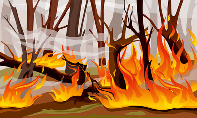 Forest Fire Flame Composition