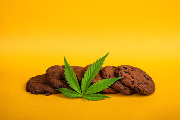 chocolate cannabis cookies with high thc on yellow background, recreational cannabis use.