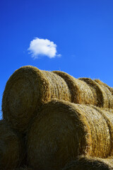 Heuballen vor blauem Himmel mit Wolke in der Sonne mit Copy space	
