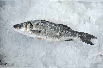 Fresh fish on ice