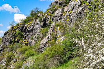 rocks in the mountains
