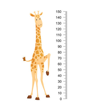 Funny giraffe. Cheerful funny giraffe with long neck. Giraffe meter wall or height chart or wall sticker. Illustration with scale from 2 to 150 centimeter to measure growth