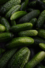 Freshly picked small green cucumbers in large quantities, wet after rinsing with water, lay on top of each other, dried in the open air, photo top view, flat laying in a vertical frame.