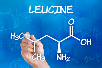 Hand with pen drawing the chemical formula of leucine
