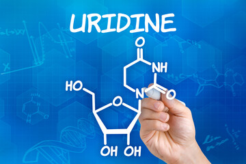 Hand with pen drawing the chemical formula of Uridine