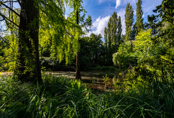 Park Natur Panorama Erft Neuss Deutschland Sommer Sonne Licht Pflanzen Garten Idyll Freizeit Licht Schatten Botanik Entspannung Aussicht Bäume Wasser Tümpel Teich Biotop künstlich Kunst Landschaft 