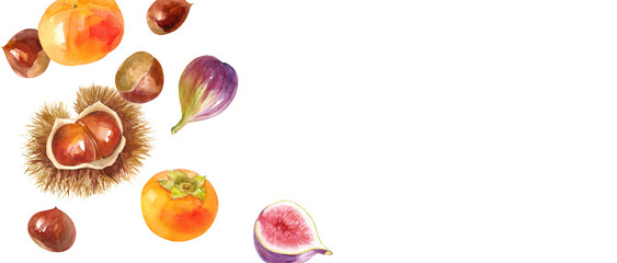秋の食材：栗と柿とイチジクの俯瞰水彩イラストのアシンメトリーバナー背景。
