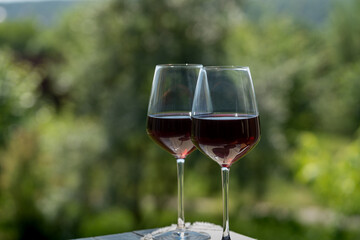 Two Glasses of red wine over green garden background.