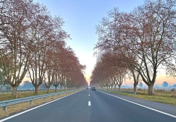 Fototapeta premium road in the city