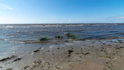 seaside landscape from Estonia, sea grasses and rocks in shallow sea water, Kabli bird center, Parnu Bay, Estonia