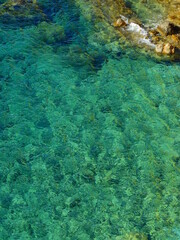 lush turquoise waters as can be seen from above on a secluded Coast
