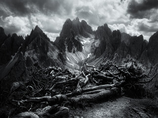 Black and white cloudscape on the Cadini di Misurina dolomites, on the foreground roots and tree branches