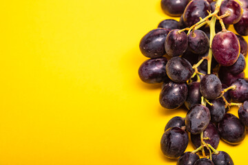 blue grapes on yellow background