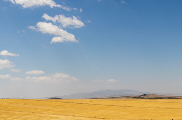 Landscape of hills and sky covered with wheat fields.