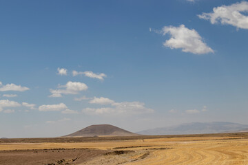 Landscape of hills and sky covered with wheat fields.