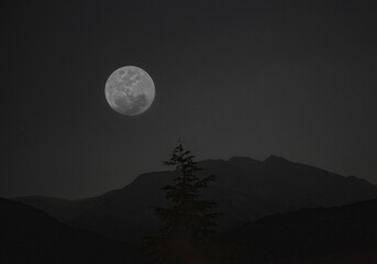 Fototapeta na wymiar noche y luna