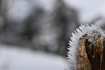 Einskristalle am frostigen Morgen auf Stock als Hintergrund