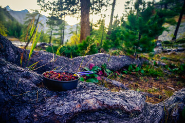 a plate of berries in a mountain forest