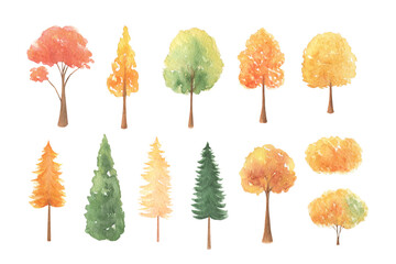 Watercolor autumn forest colorful trees isolated on white background. 