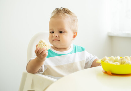 smiling baby boy sitting in a Childs chair eating cauliflower on white kitchen.