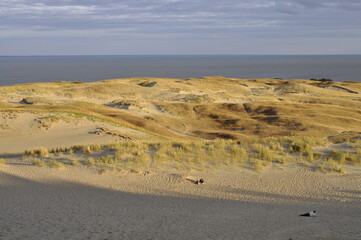 Parnidžio kopa . View from Parnidis sand dune on the valley of death .  Curonian spit , Nida ,...