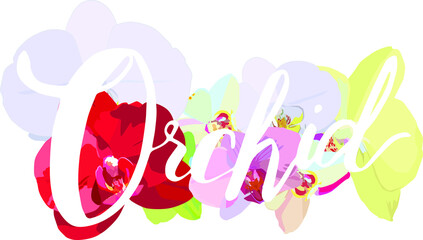 Orchid inscription on a background of flowers. Orchid flowers for advertising.