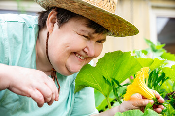 mentally handicapped or disabled woman with a straw hat is smelling a yellow pumpkin blossom