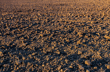 loosened land in a field in the rays of the setting sun