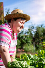 mentally handicapped woman with straw hat stands in front of raised bed with mangold