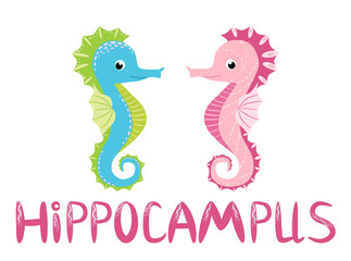 Fototapeta premium Pair of seahorses, scandinavian style hippocampus, hand drawn, pink and turquoise, boy and girl, love and family