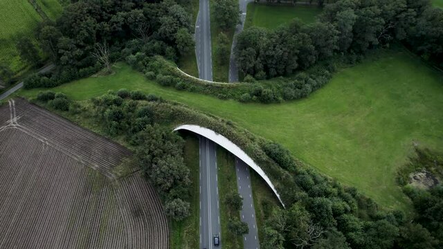 Wildlife crossing forming a safe green natural corridor bridge for animals to migrate between conservancy areas. Environment nature reserve infrastructure eco passage.