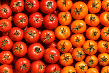 Top view of ripe fresh yellow and red tomatoes. Food background.