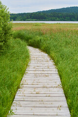 A wooden path around the beautiful pond Olsina. The Olsina pond near Horni Plana is one of the highest altitude ponds in Czech republic
