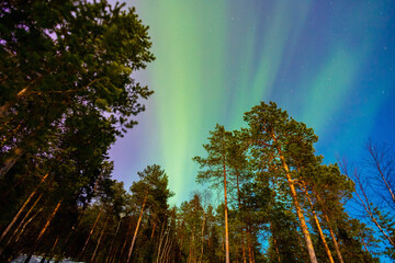 Arctic polar night starry sky background of aurora borealis and Northern Lights