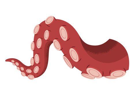 Octopus tentacle on white background. Sea squid vector cartoon icon. Spooky marine monster arm. Underwater animal